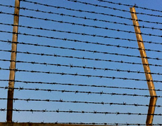 barbed wire fence