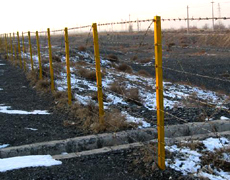 barbed wire fence