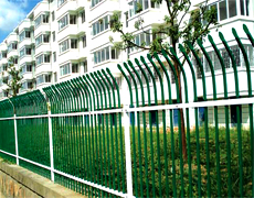 iron fence